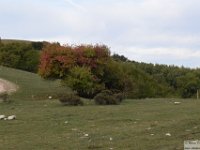 2026-10-17 Monte Velino 016